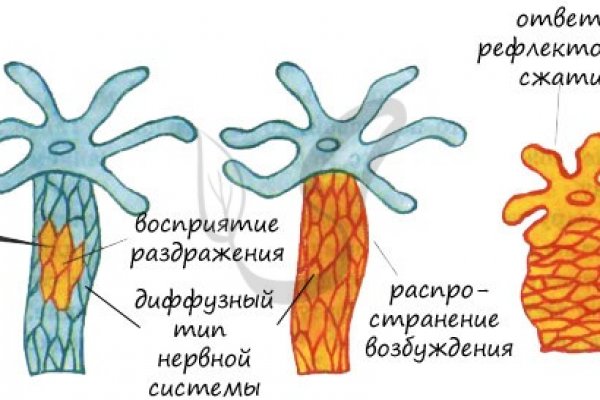 Какая ссылка на кракен